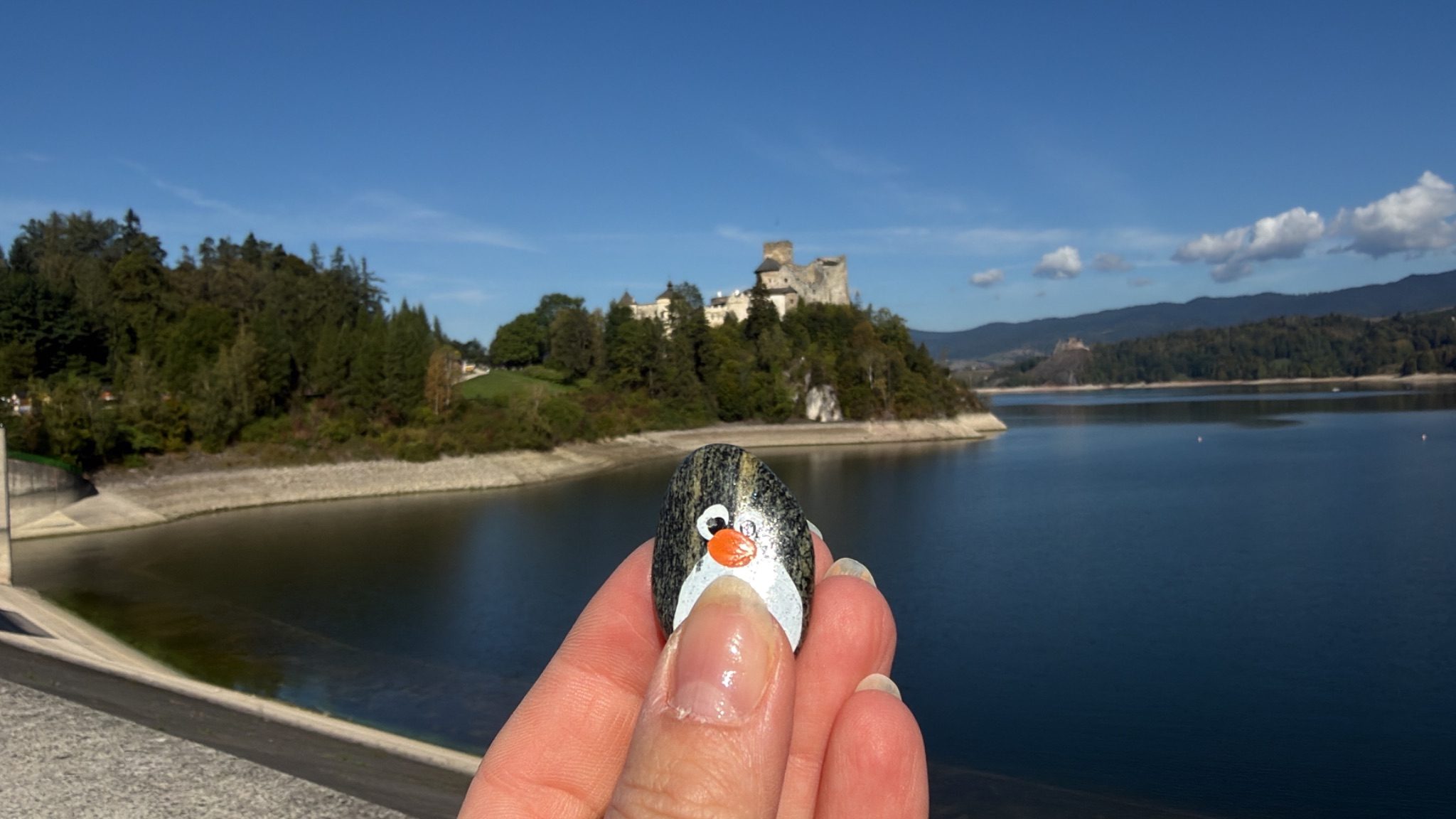 Hand-painted penguin stone #786 hidden at Elektrownia Wodna Niedzica, Niedzica, Poland (photo 1 of 5)