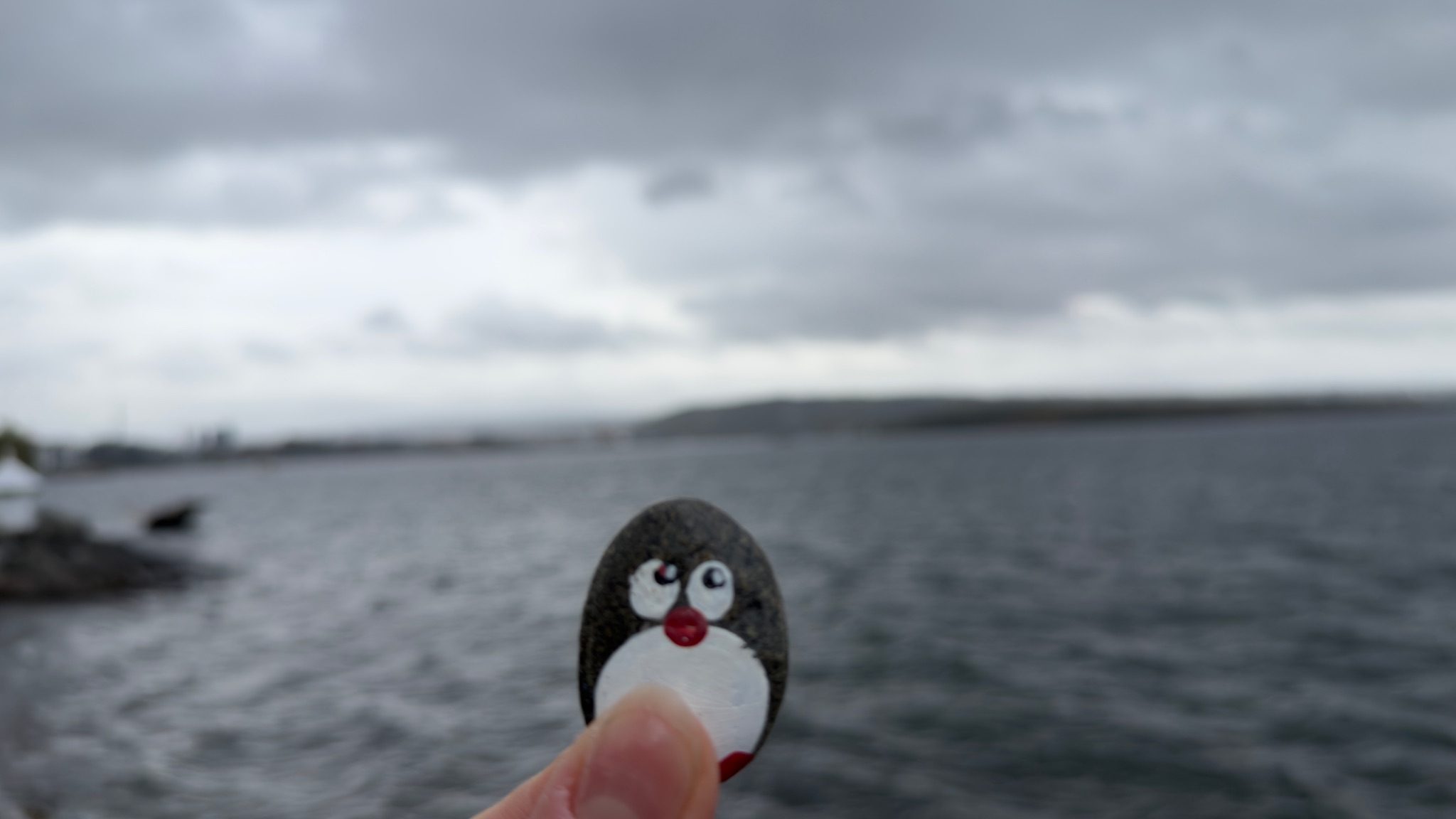 Hand-painted penguin stone #1394 hidden at Fram, Oslo, Norway (photo 1 of 5)