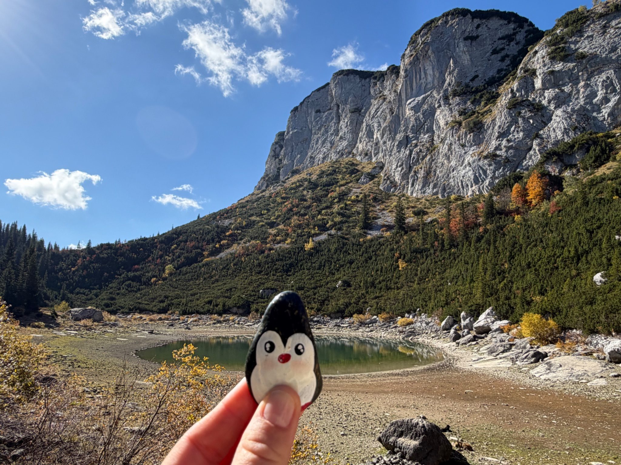 Hand-painted penguin stone #1423 hidden at Jablan Lake, Durmitor NP, Montenegro (photo 1 of 5)