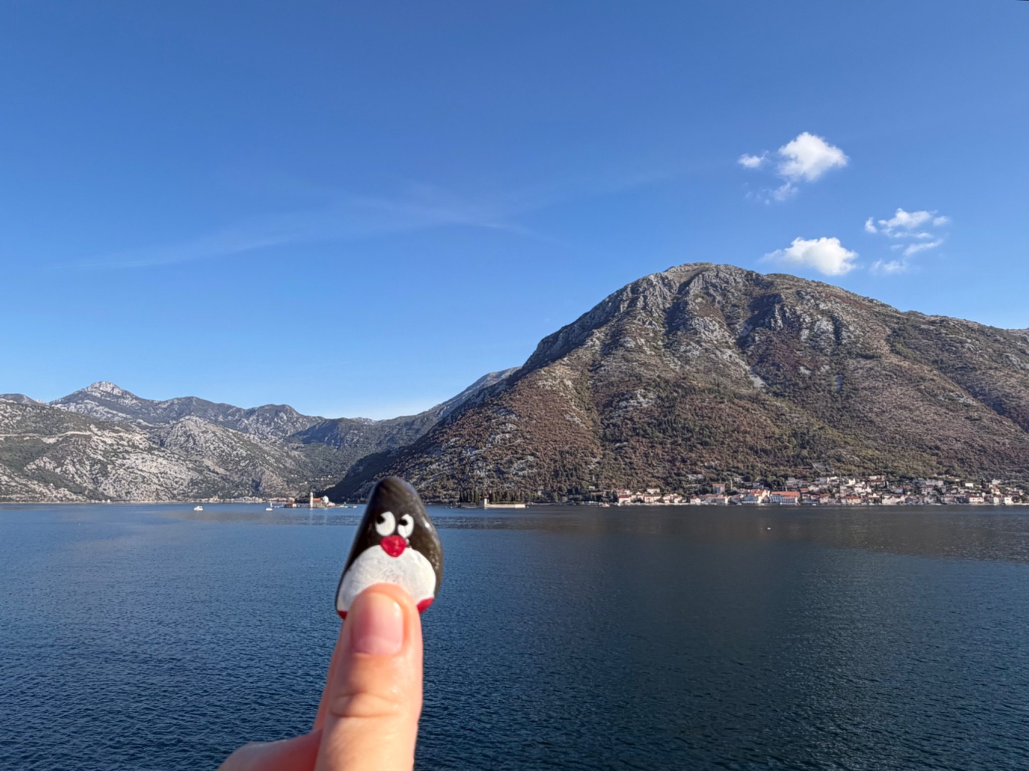 Hand-painted penguin stone #1448 hidden at Viewpoint on the Kotor Bay and Our Lady of the Rocks, Kostanjica, Montenegro (photo 1 of 5)