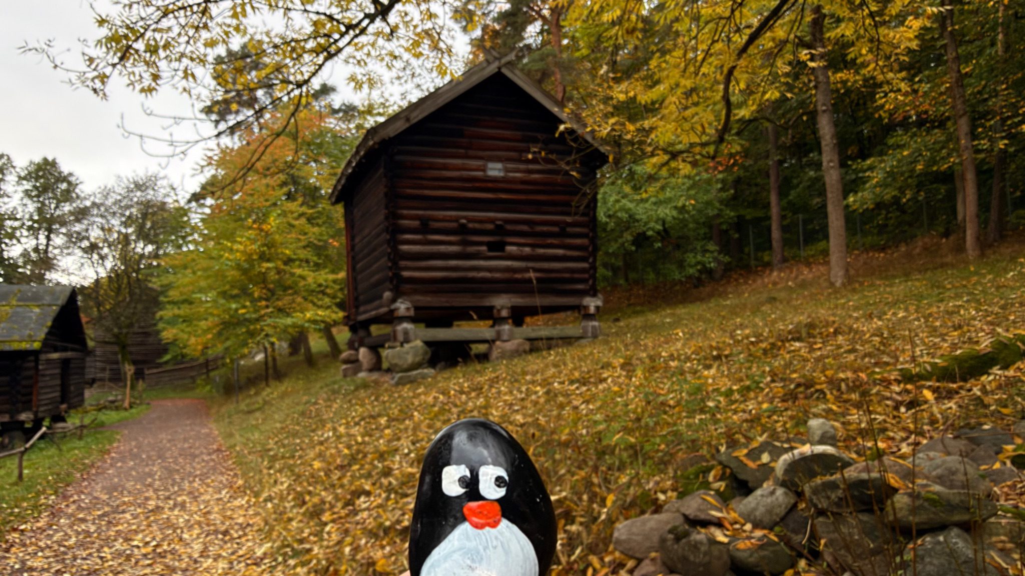 Hand-painted penguin stone #1466 hidden at Tree Trunk at Norwegian Museum of Cultural History, Oslo, Norway (photo 1 of 5)