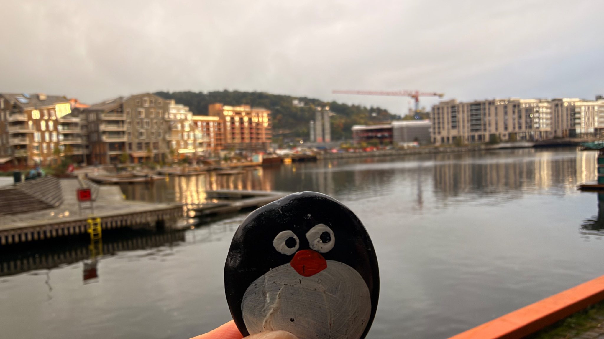 Hand-painted penguin stone #1477 hidden at Close to Oda Krohgs bro, Oslo, Norway (photo 1 of 5)