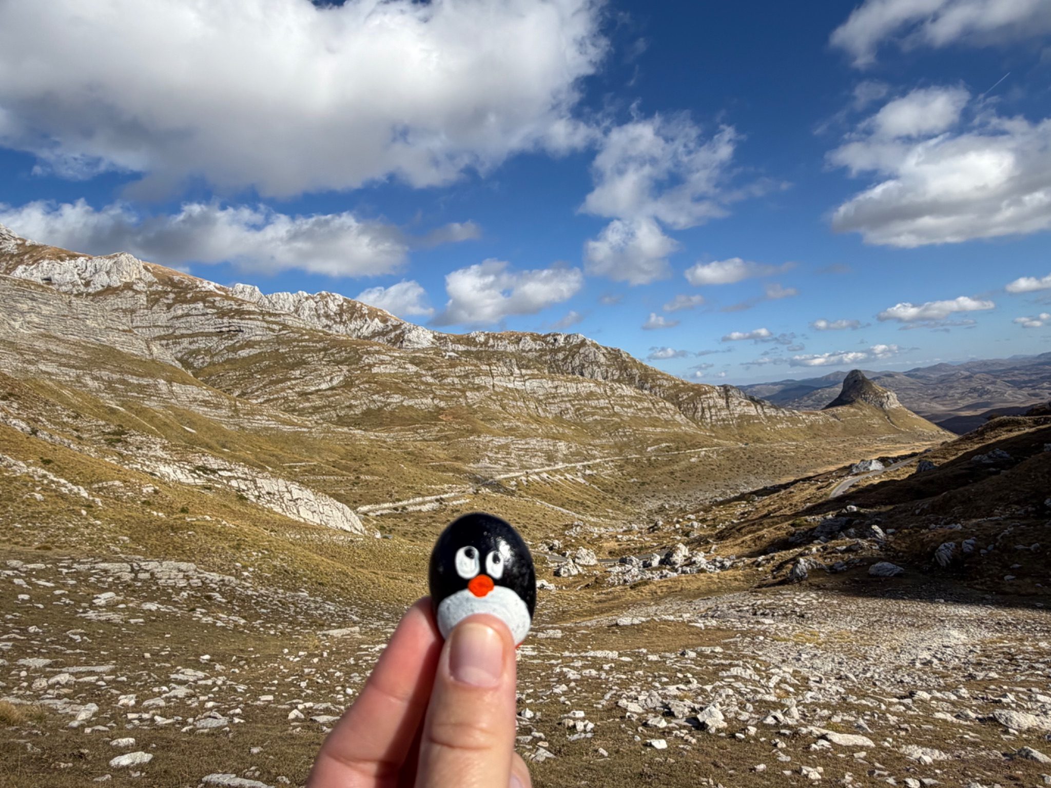 Hand-painted penguin stone #1528 hidden at Mountain Pass Sedlo, NP Durmitor, Montenegro (photo 1 of 5)