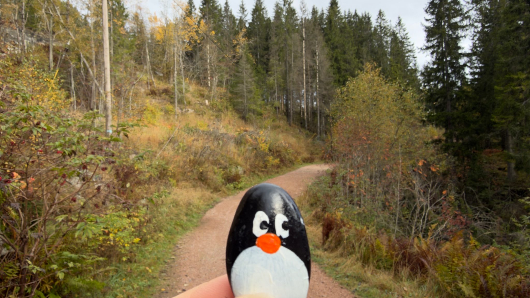 Hand-painted penguin stone #1535 hidden at Stone Wall in Nordmarka, Oslo, Norway (photo 1 of 5)