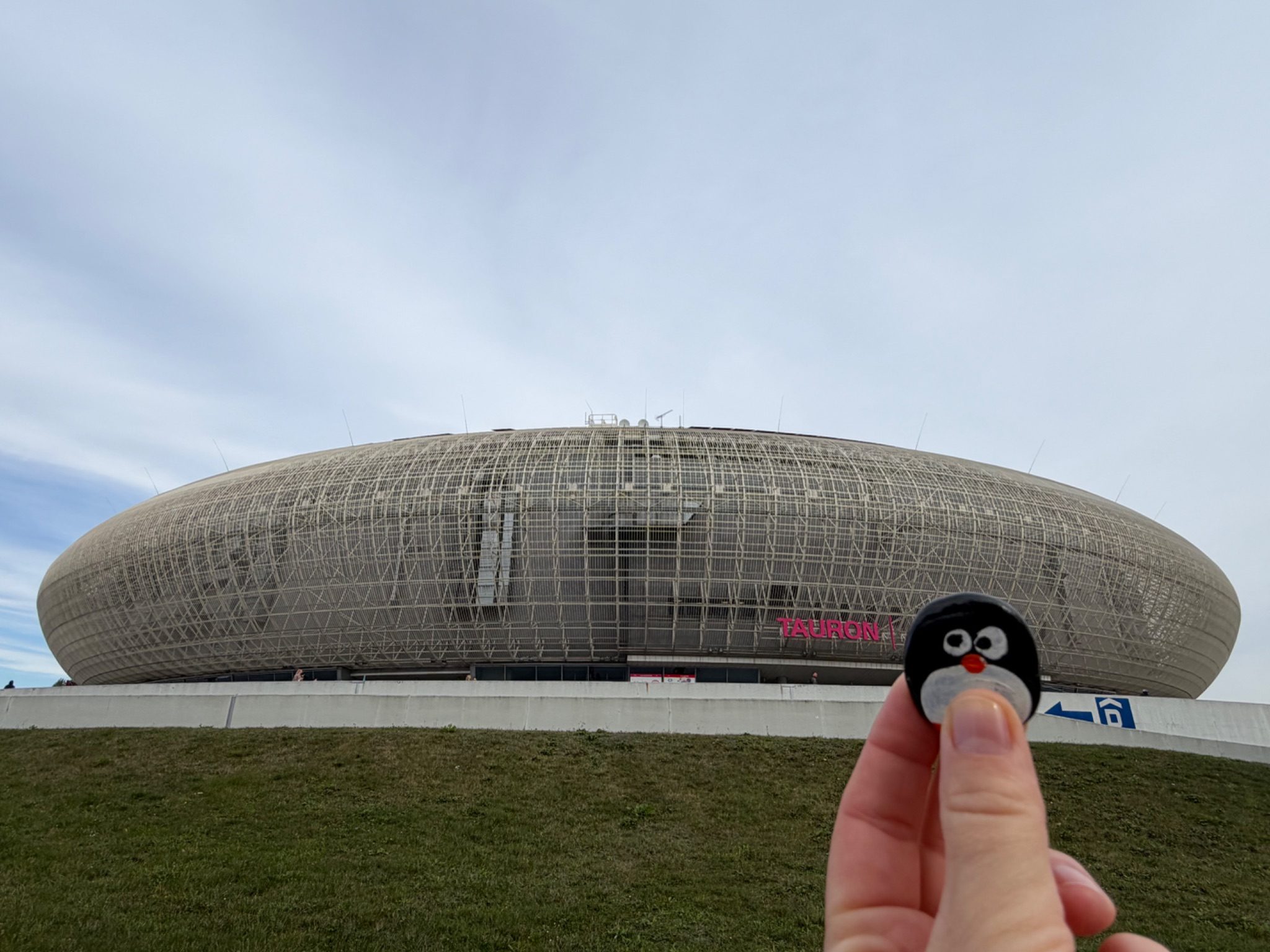 Hand-painted penguin stone #1540 hidden at Tauron Arena, Krakow, Poland (photo 1 of 5)