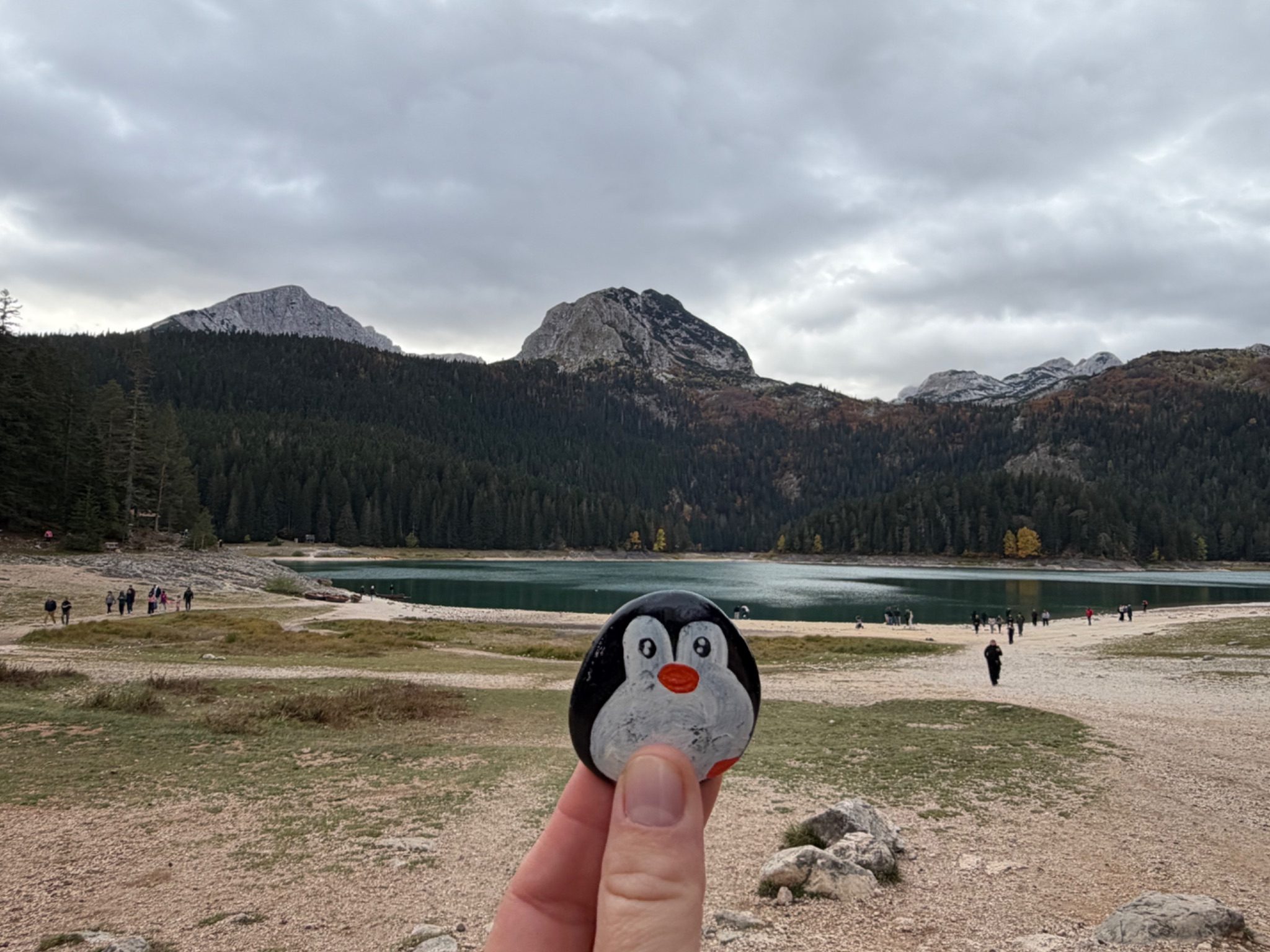Hand-painted penguin stone #1546 hidden at Black Lake, Durmitor National Park, Montenegro (photo 1 of 5)