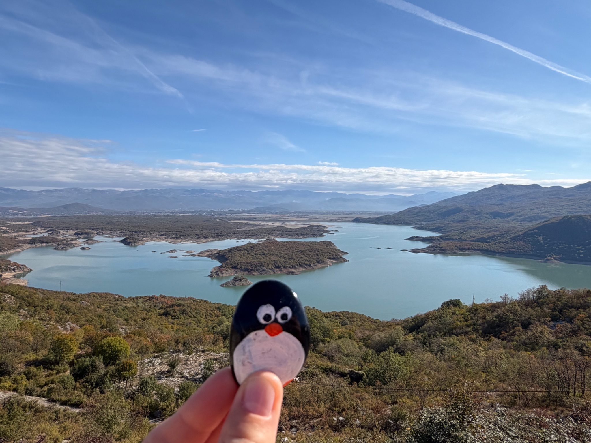 Hand-painted penguin stone #1547 hidden at Slano Lake, Slano Lake, Montenegro (photo 1 of 5)