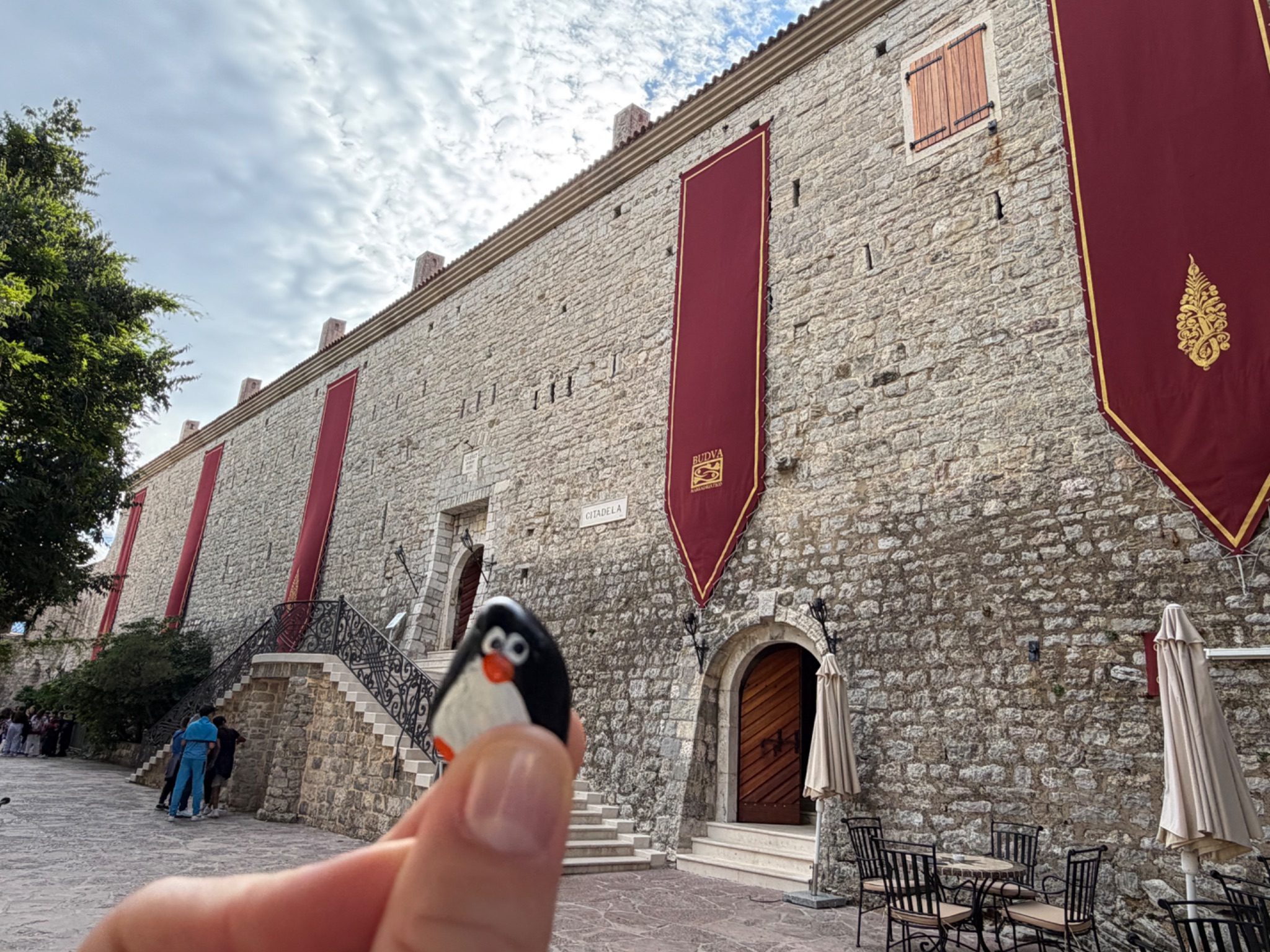 Hand-painted penguin stone #1548 hidden at Citadela Budva, Budva, Montenegro (photo 1 of 5)