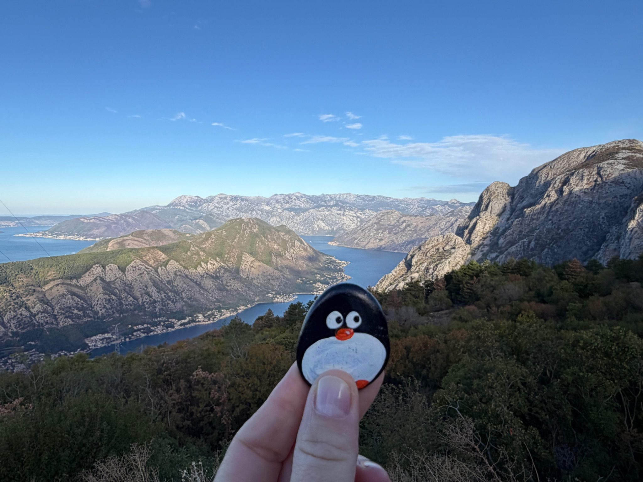 Hand-painted penguin stone #1552 hidden at Restaurant Nevjesta Jadrana, Cetinje, Montenegro (photo 1 of 4)