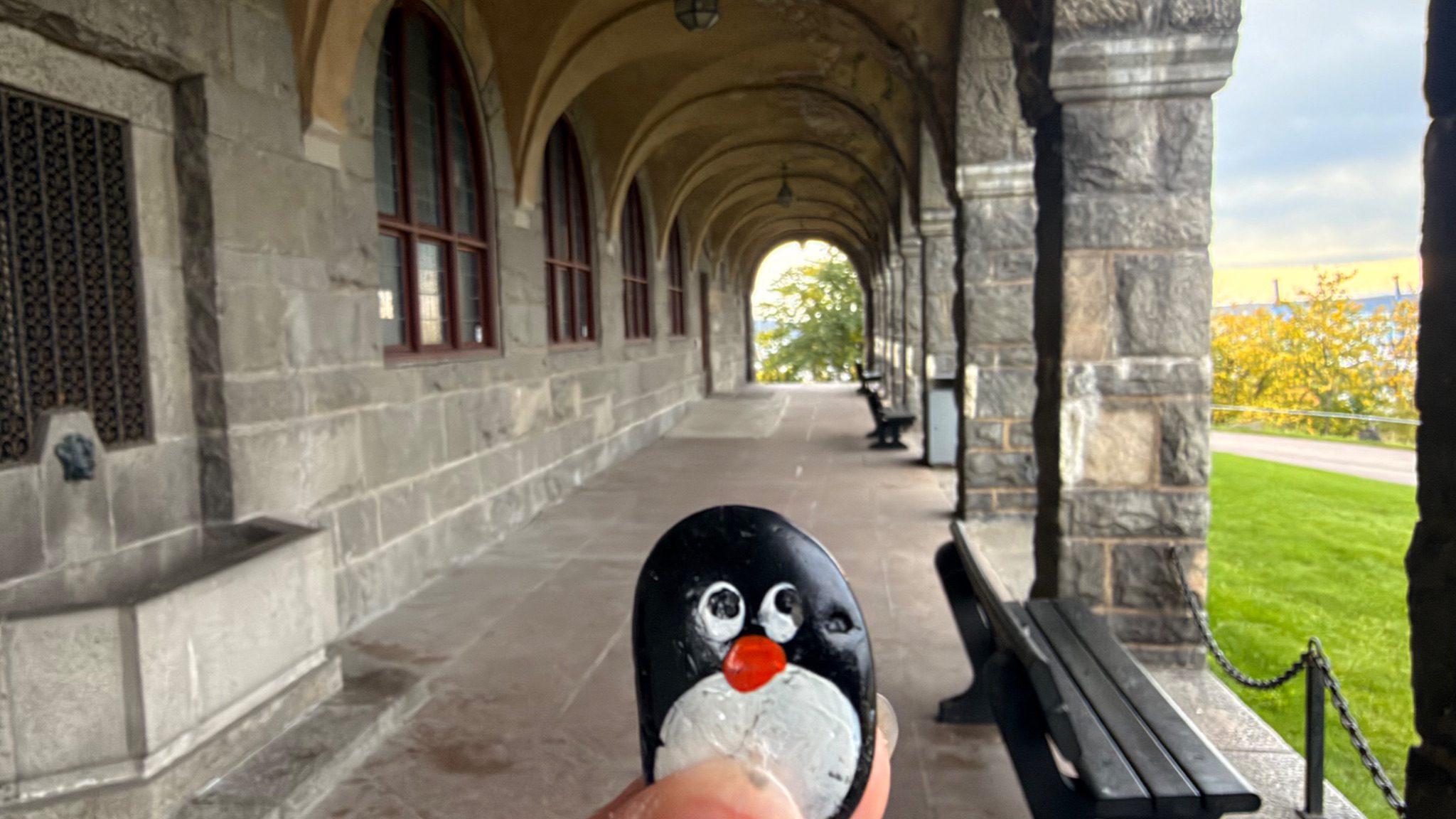 Hand-painted penguin stone #1554 hidden at Kongshavn High School, Oslo, Norway (photo 1 of 5)