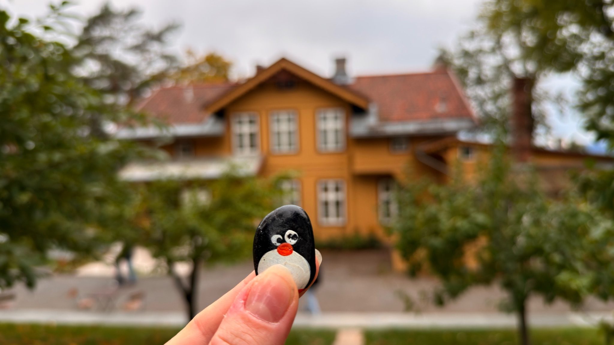 Hand-painted penguin stone #1561 hidden at Tree next to Karlsborg Spiseforretnong, Oslo, Norway (photo 1 of 5)