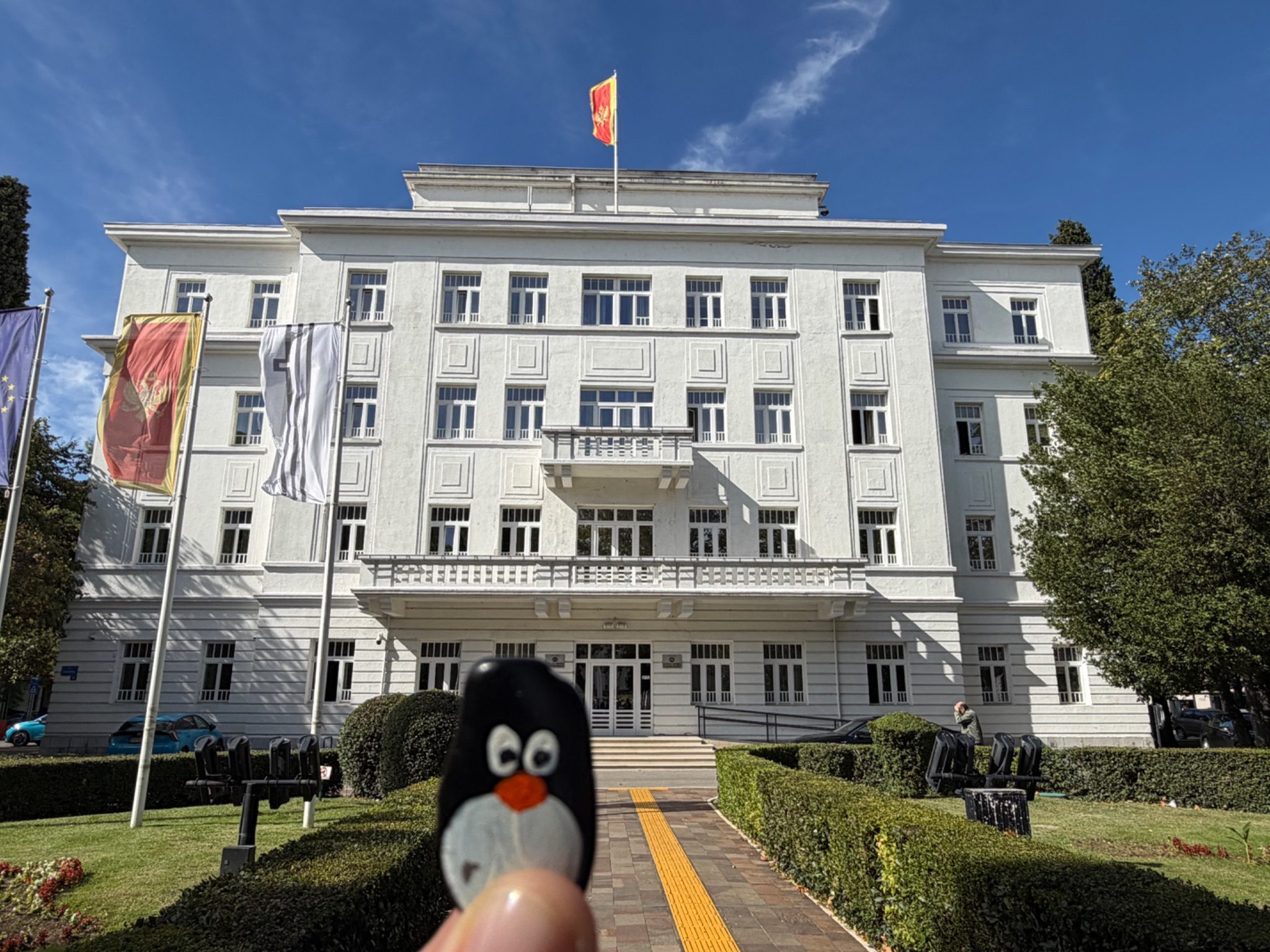 Hand-painted penguin stone #1571 hidden at Mayor's Office of the Capital City, Podgorica, Montenegro (photo 1 of 5)