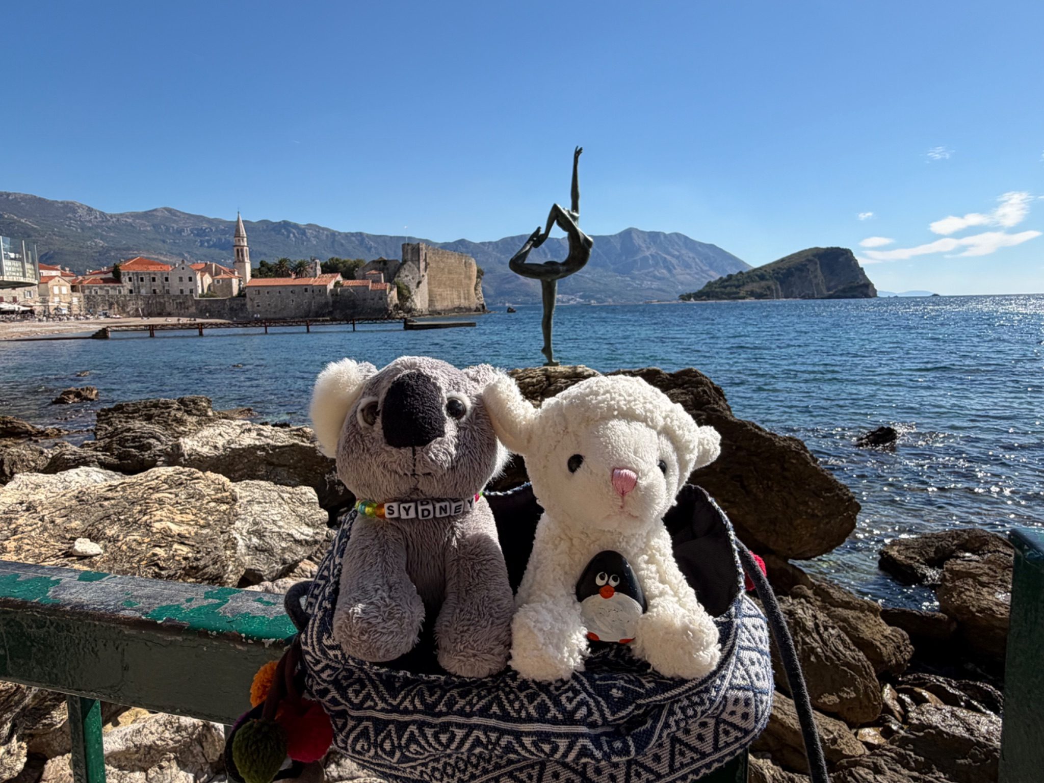 Hand-painted penguin stone #1576 hidden at Budva Ballerina, Budva, Montenegro (photo 1 of 5)