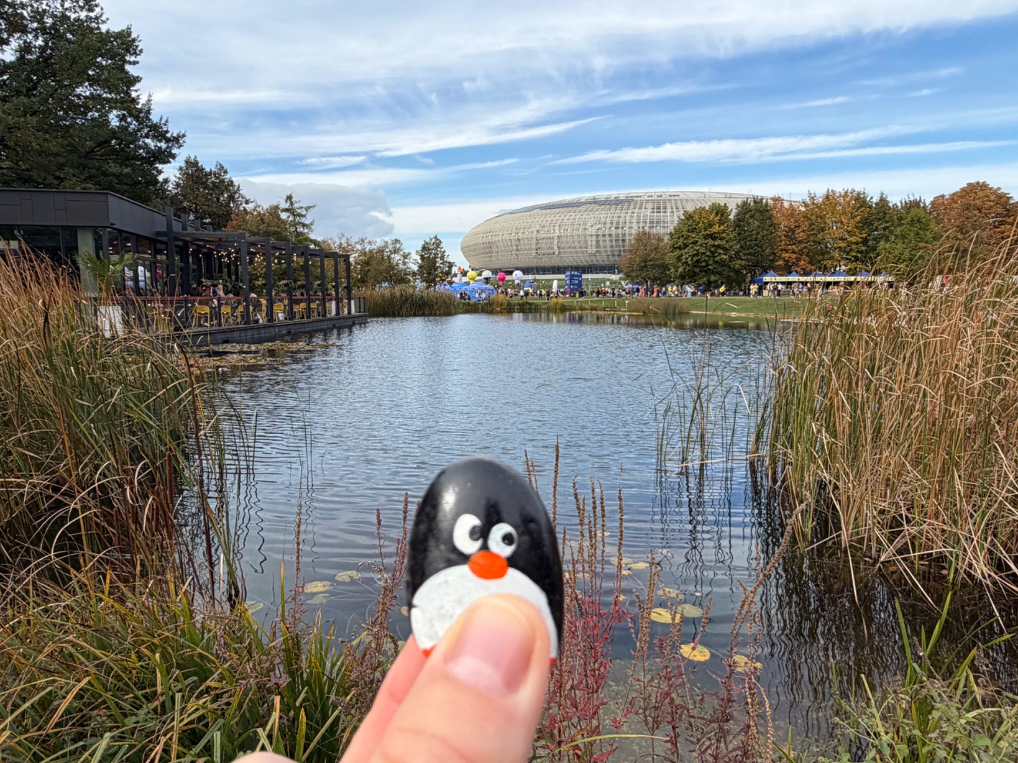 Hand-painted penguin stone #1585 hidden at Stawy w Parku Lotnikow, Krakow, Poland (photo 1 of 5)