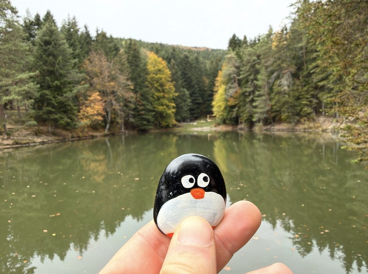 Hand-painted penguin stone #1590 hidden at Turzov Lake, Gelnica, Slovakia (photo 1 of 5)