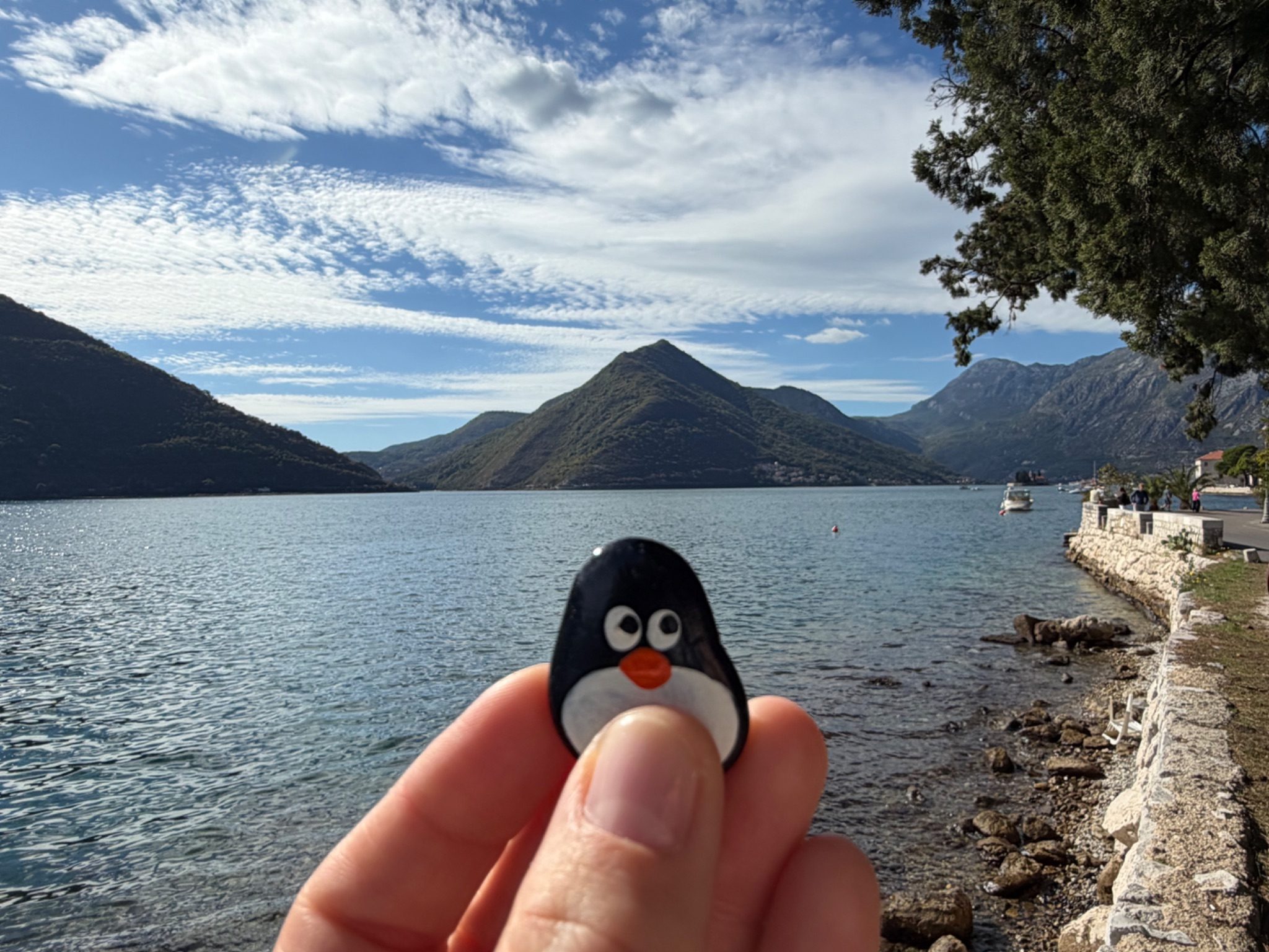 Hand-painted penguin stone #1591 hidden at Perast Beach, Perast, Montenegro (photo 1 of 5)