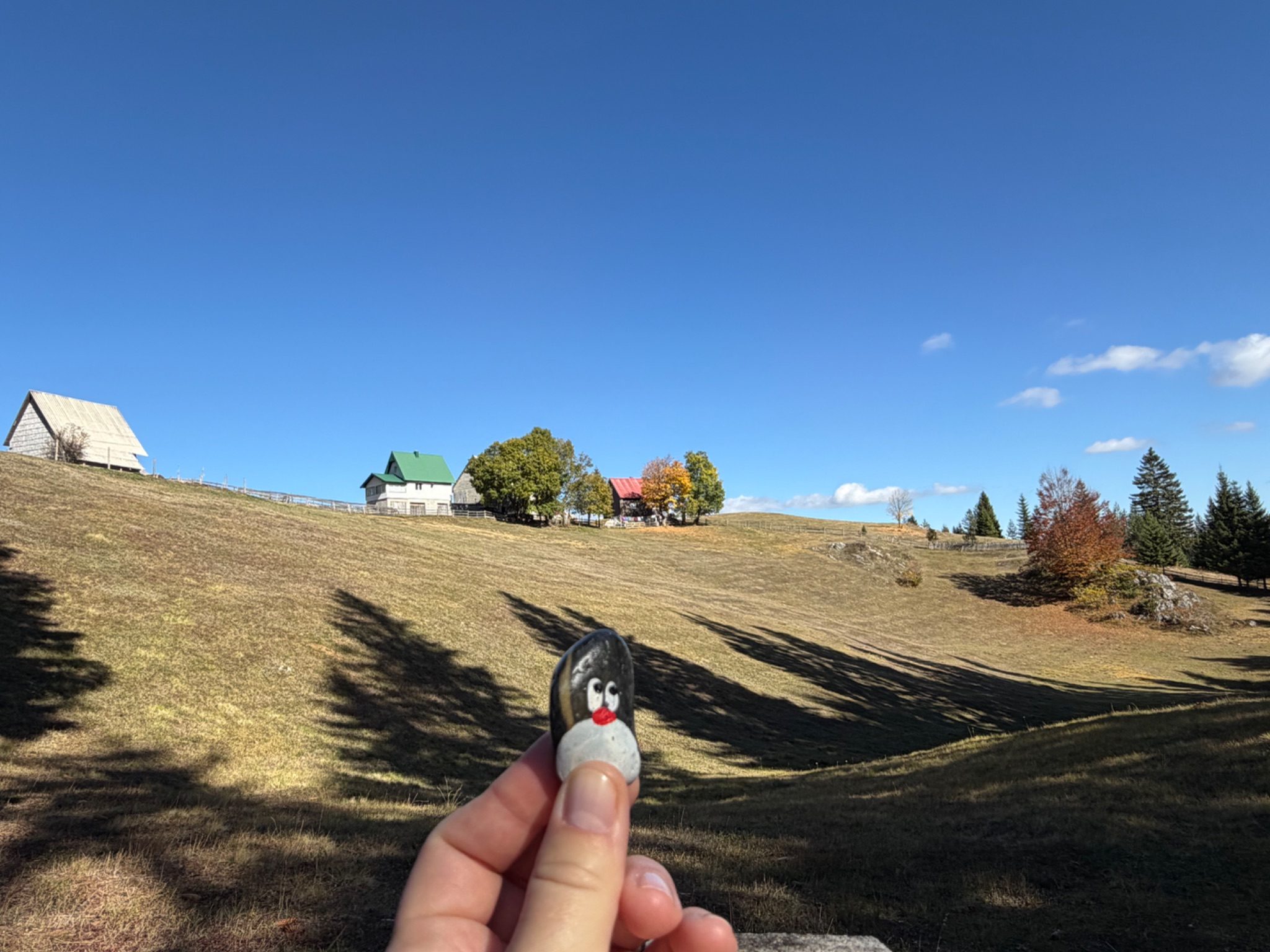 Hand-painted penguin stone #1738 hidden at By the Tree Hiking Sign, Bosaca, Montenegro (photo 1 of 5)