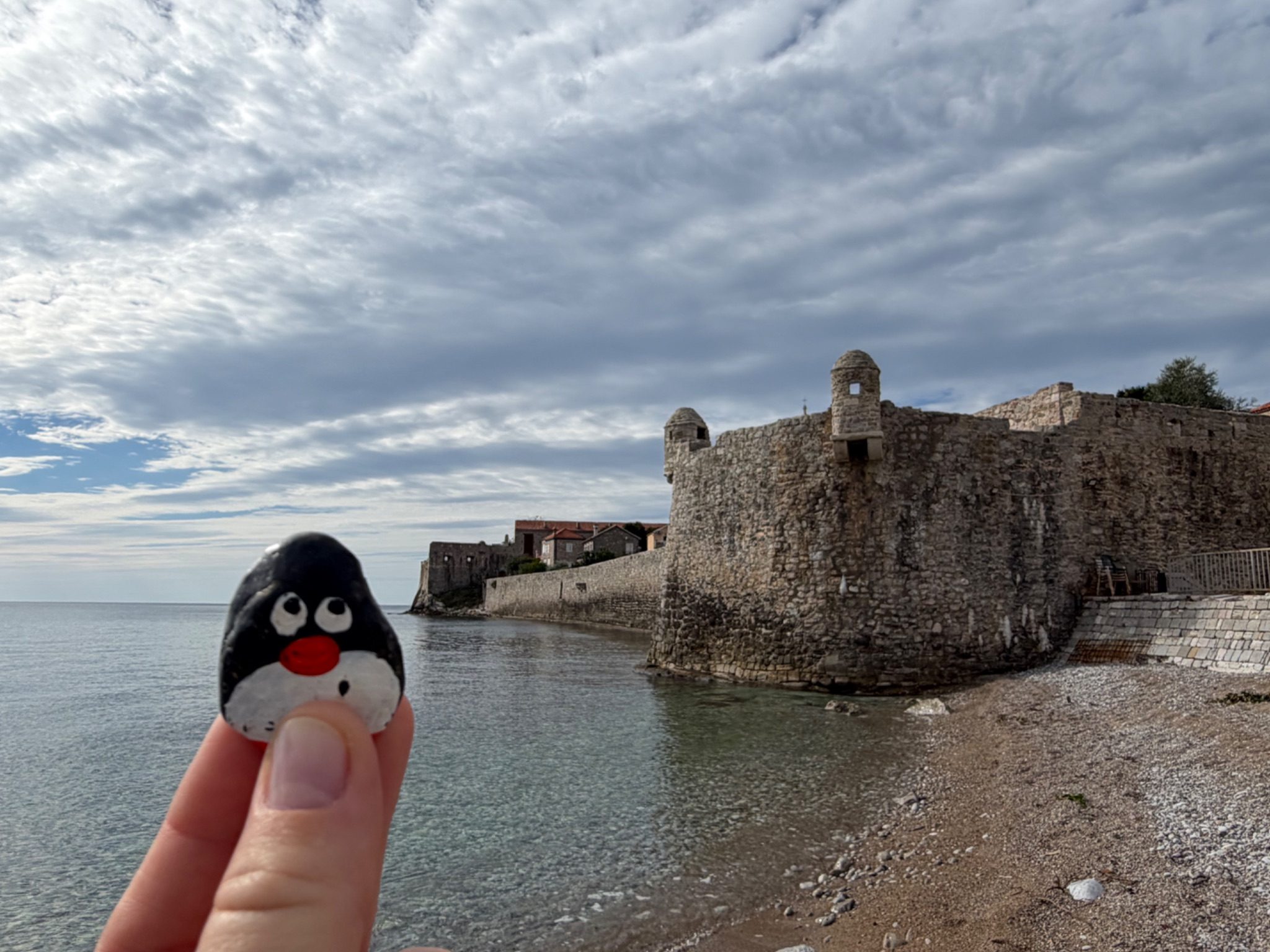 Hand-painted penguin stone #2239 hidden at Old Town Budva, Cetinje, Montenegro (photo 1 of 5)