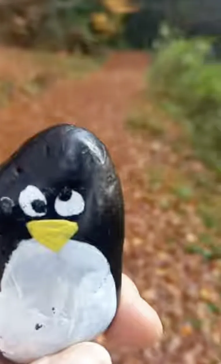 Hand-painted penguin stone #45 hidden at Forest, Vocklabruck, Austria