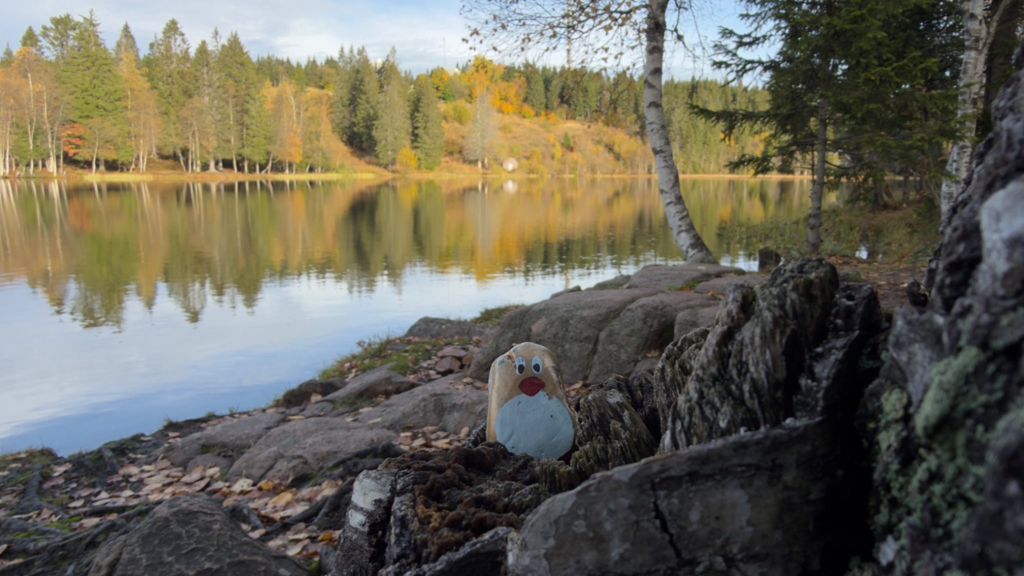 Hand-painted penguin stone #500 hidden at Rocks at Ovresetertjern, Oslo, Norway (photo 1 of 4)