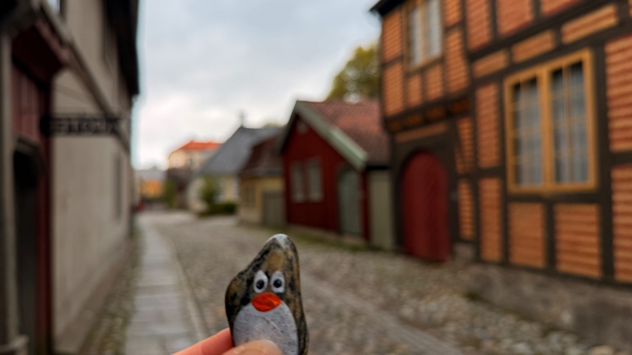 Hand-painted penguin stone #751 hidden at Old Pharmacy, Oslo, Norway (photo 1 of 5)