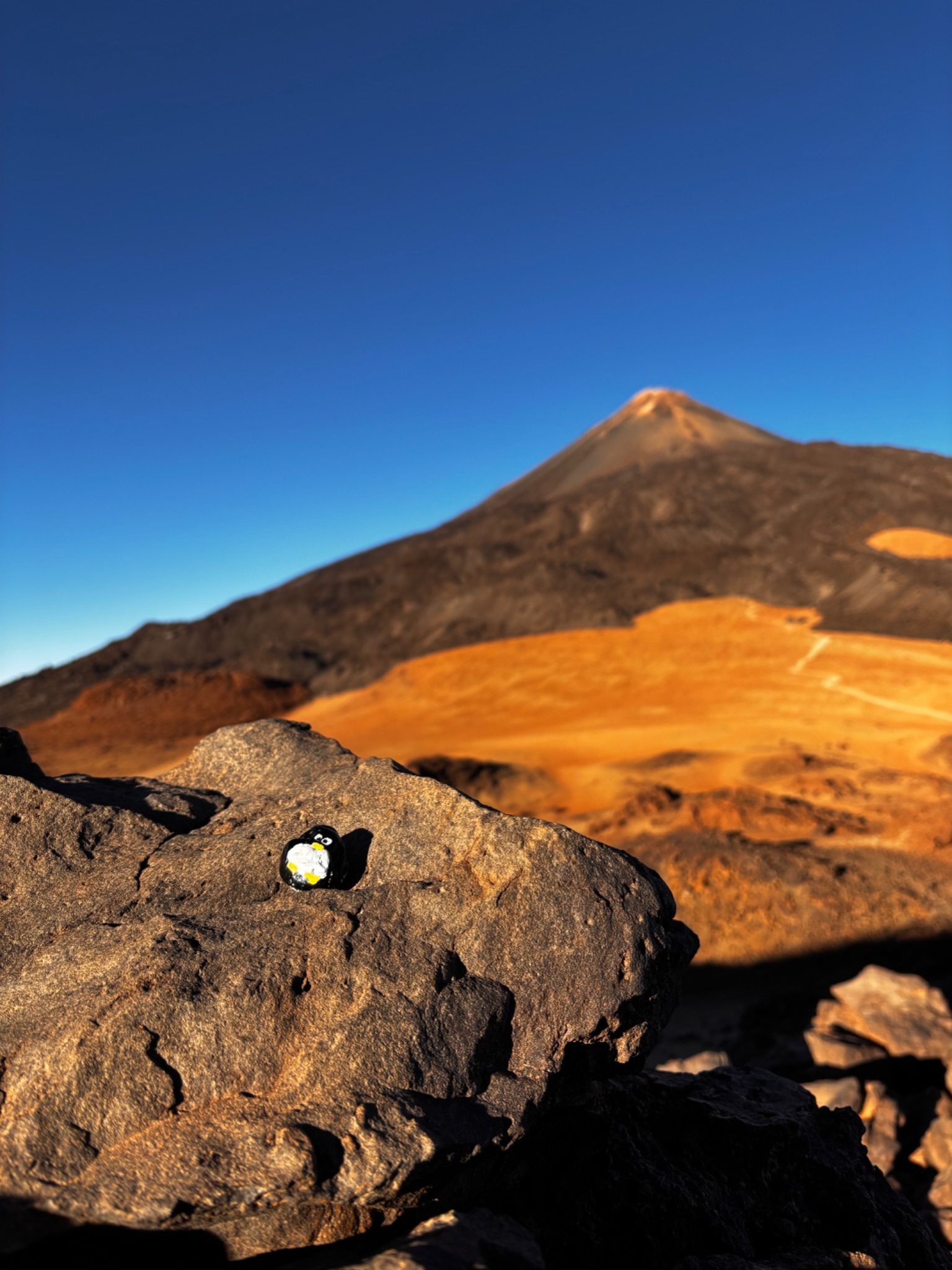 Hand-painted penguin stone #94 hidden at On the route to Pico Viejo, La Orotava, Spain (photo 1 of 5)